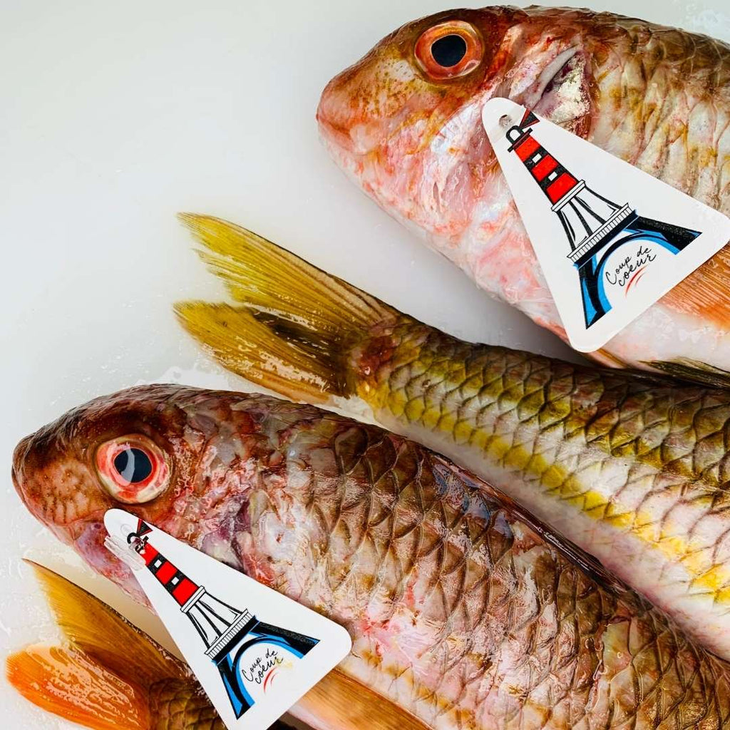 Fish to Go  Poissonnerie en ligne en Suisse
